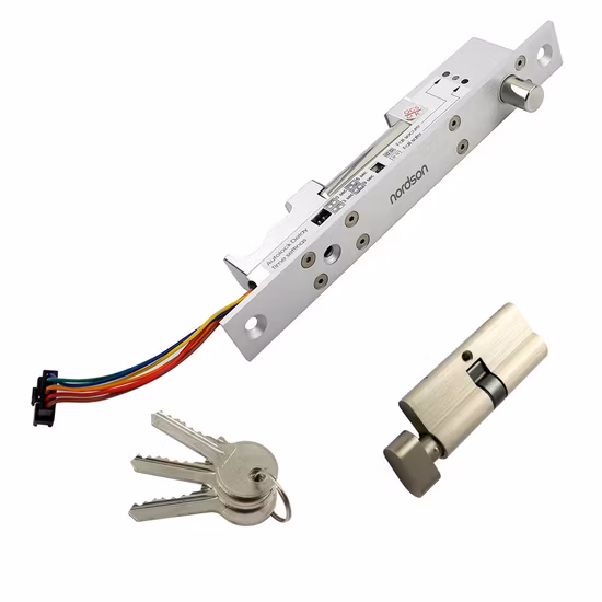 Adjustable Mode Fail-Secure&Fail-Safe Full Solid Stainless Steel Micro Door Lock System with Emergency Key